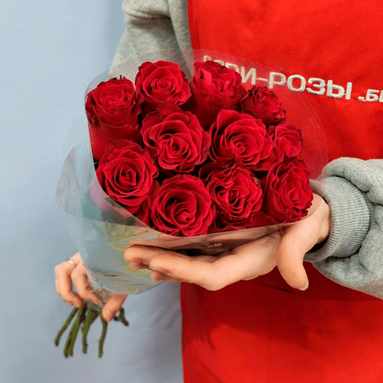 11 роз (красные 50 см) в пачке