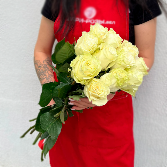 11 белых роз 60 см с лентой (э)