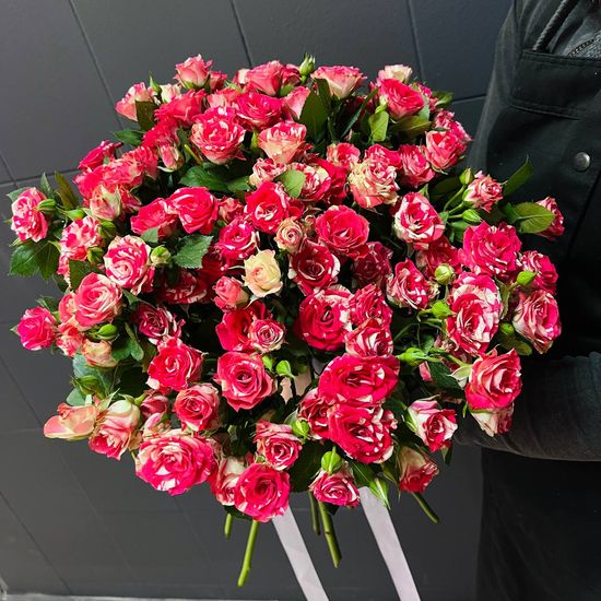 25 куст. роз (бело-красные) с лентой