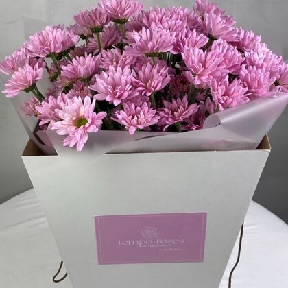 Коробка с аква боксом из 11 ромашковых розовых хризантем