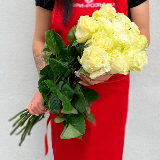 15 белых роз 60 см с лентой (э)