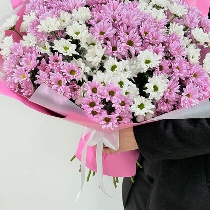 19 ромашковых хризантем в упаковке