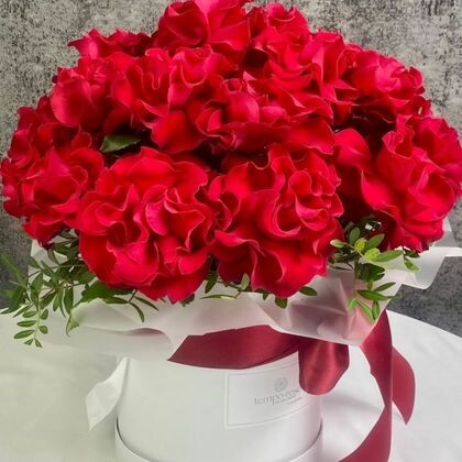 23 красных французских розы в белой коробке с зеленью