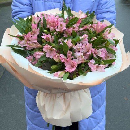 Букет «Моно Альстромеря»