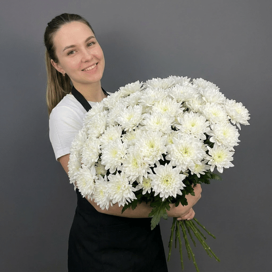 15 хризантем в пачке (Алтай)