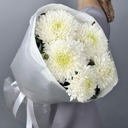 5 хризантем магнум в упаковке