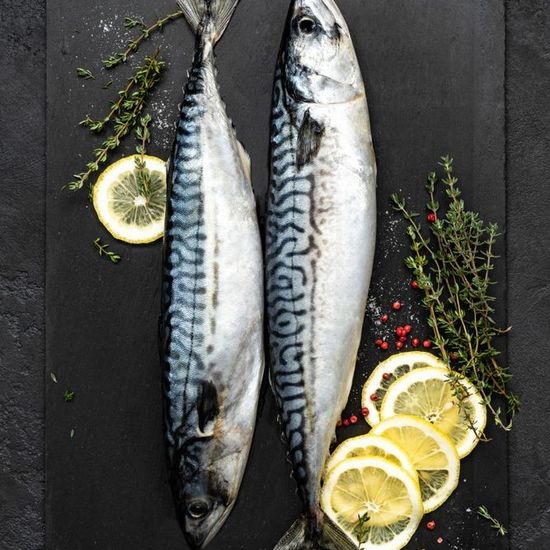 Скумбрия фарерская неразделанная