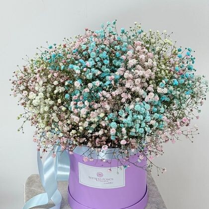 Шляпная коробка с радужной гипсофиллой в размере